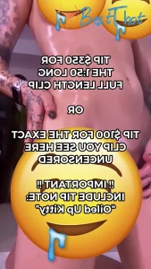 verabambi #9676679