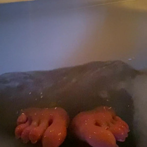 Video by footsiegalore published on April 12,2023 21:38:00 - BestThots