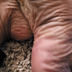 Video by mz_plentiofwrinkles published on May 12,2023 00:41:00 - BestThots