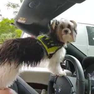 Video by tammylh published on March 27,2023 07:58:00 - BestThots