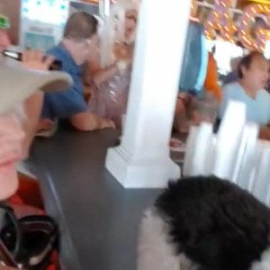 Video by tammylh published on April 21,2023 13:53:00 - BestThots