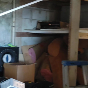 Video by tammylh published on July 7,2023 00:17:00 - BestThots