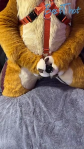 levisheppy #9719881