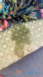 curiouskittypremium #9729654