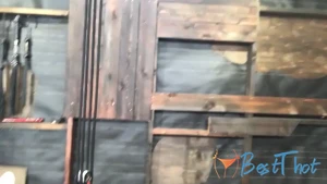 sydneycolexxx #9755098