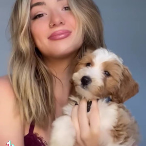 Video by autumren published on June 7,2023 10:51:00 - BestThots