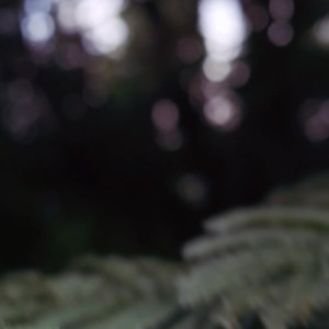 Video by teresa published on August 20,2023 21:58:00 - BestThots