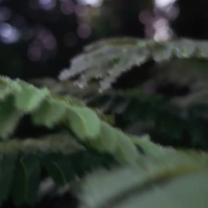 Video by teresa published on August 10,2023 04:36:00 - BestThots