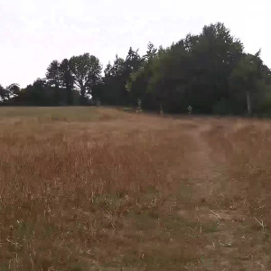 Video by oliviarobin published on June 10,2023 04:35:00 - BestThots