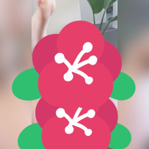 sesameoil #4472812