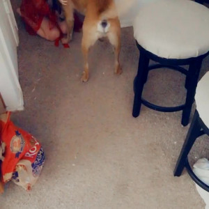 Video by saturnbaby0 published on April 23,2023 13:26:00 - BestThots
