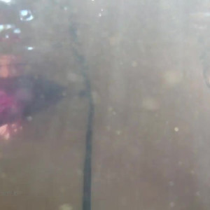 Video by queengialove published on March 21,2023 15:54:00 - BestThots
