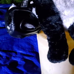 Video by queengialove published on June 26,2023 08:45:00 - BestThots