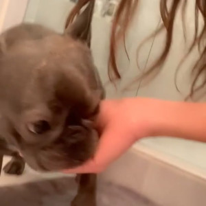 Video by thenursemary published on June 20,2023 08:34:00 - BestThots