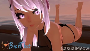 casualmeowvr #9787682