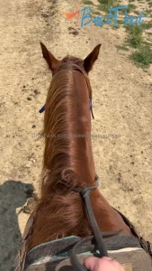 sweettreatsyumxo #9801950