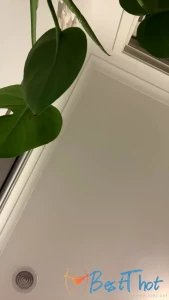 karamel-kitty-kat #9802519