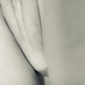 lavish_fixation #3777339