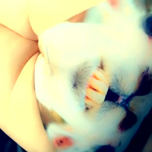 Video by lavish_fixation published on June 21,2023 09:59:00 - BestThots