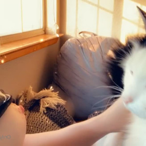 Video by lavish_fixation published on May 3,2023 12:20:00 - BestThots