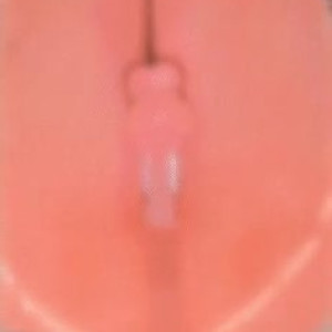 Video by uuchan published on May 22,2023 11:38:00 - BestThots