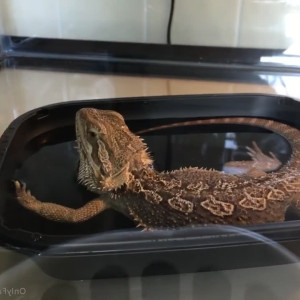 Video by moonandstars713 published on June 24,2023 01:06:00 - BestThots