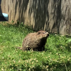 Video by moonandstars713 published on June 22,2023 20:29:00 - BestThots