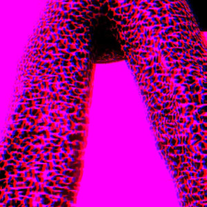 Video by moonandstars713 published on July 10,2023 20:47:00 - BestThots