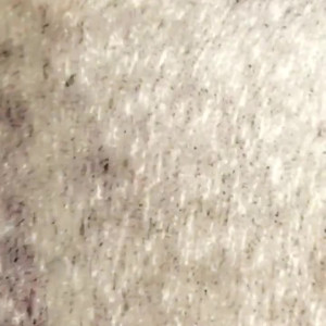 Video by moonandstars713 published on August 4,2023 13:43:00 - BestThots