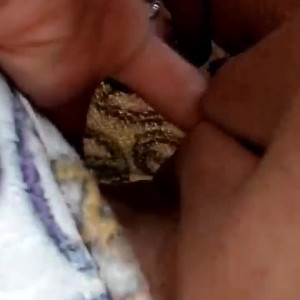 Video by moonandstars713 published on June 4,2023 15:18:00 - BestThots