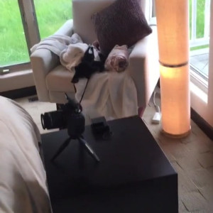 Video by imamberhahn published on May 25,2023 11:15:00 - BestThots