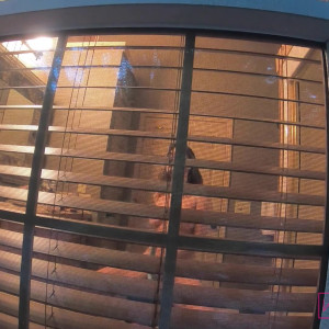 Video by imamberhahn published on June 9,2023 19:13:00 - BestThots