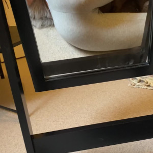 Video by emma_moo published on March 26,2023 22:39:00 - BestThots