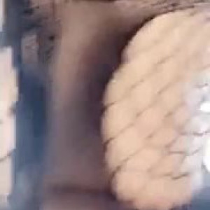 Video by tiffanybabe01 published on March 29,2023 16:59:00 - BestThots