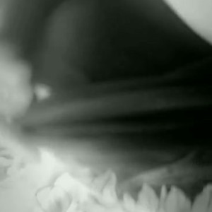Video by pinkys_toes published on April 4,2023 13:30:00 - BestThots