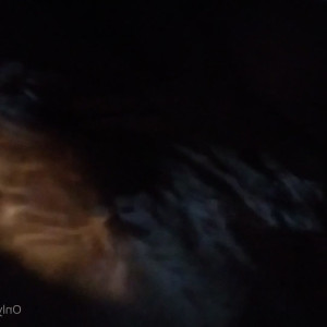 Video by pinkys_toes published on June 18,2023 11:50:00 - BestThots