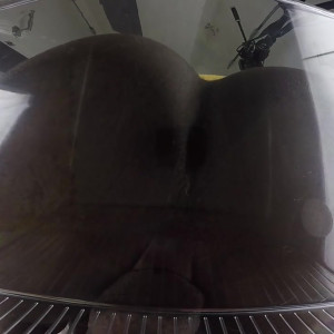 Video by vanniall published on August 16,2023 18:25:12 - BestThots