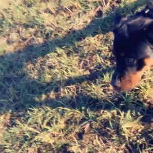 Video by jasminm published on March 9,2023 15:05:00 - BestThots
