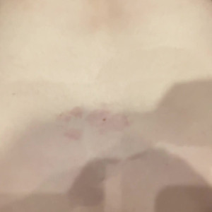 Video by eevieaspen published on May 23,2023 20:15:00 - BestThots
