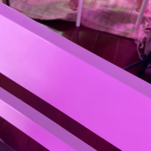 Video by eevieaspen published on April 28,2023 22:46:00 - BestThots