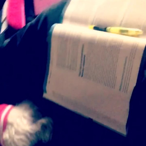 Video by taylored published on March 14,2023 22:39:00 - BestThots