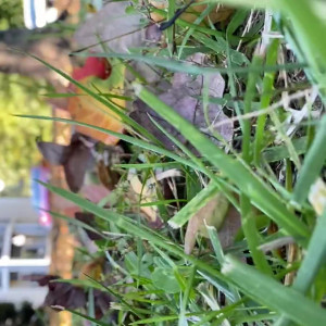 Video by blissfulellie published on April 19,2023 20:23:00 - BestThots