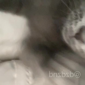 Video by naznzdd published on April 4,2023 01:25:00 - BestThots
