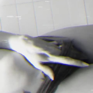 Video by suzie212love published on March 4,2023 00:13:00 - BestThots