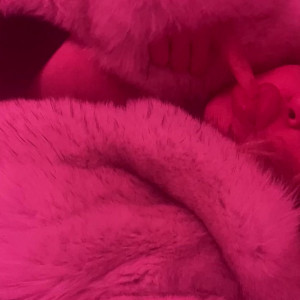 Video by bimbo_bunny_2000 published on July 10,2023 21:37:00 - BestThots
