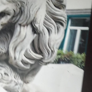 Video by stellaaeternum published on August 16,2023 22:47:13 - BestThots