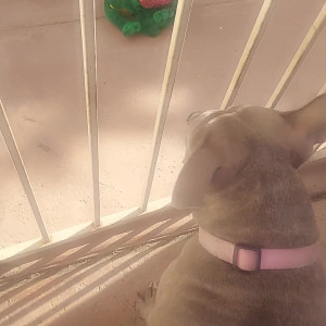 Video by stellaaeternum published on August 17,2023 00:25:03 - BestThots
