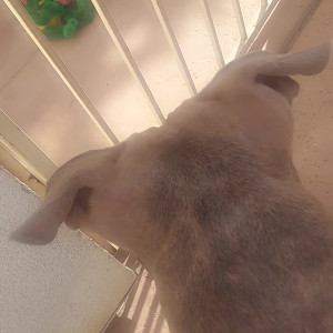 Video by stellaaeternum published on August 17,2023 01:54:14 - BestThots