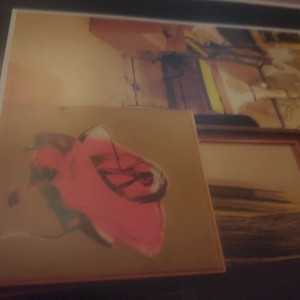 Video by stellaaeternum published on August 17,2023 00:27:08 - BestThots