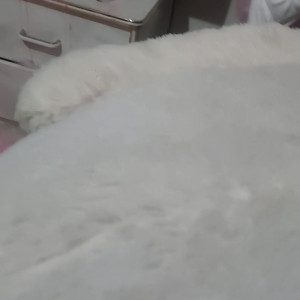 Video by stellaaeternum published on August 17,2023 00:28:16 - BestThots